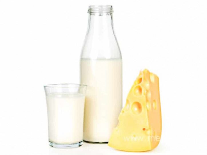 Milch und Käse - Laktoseintoleranz